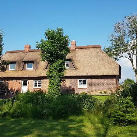 Ferienhaus Perle Unter Reet 펜션 *